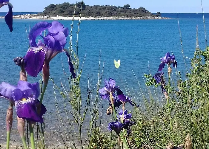 Διαμέρισμα Martina Banjole